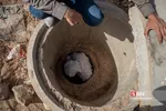 یلی
