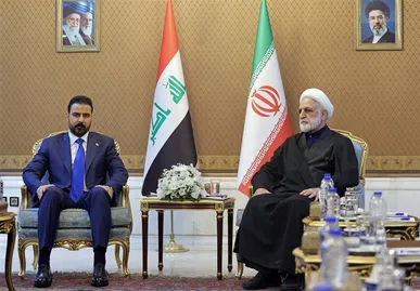 حجت الاسلام اژه‌ای: ایران هیچ خصومتی با همسایگانش ندارد/ آمریکا راهی جز عقب نشینی ندارد