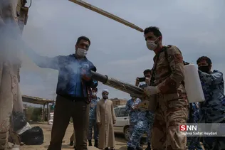 جدید