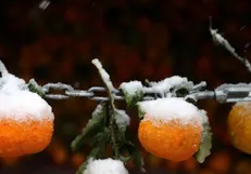بارش باران و برف در ۱۴ استان/ هشدار هواشناسی به کشاورزان