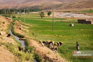 در حاشیه انشعابات  رود کارون عشایر به دلیل پرورش دام و مناطق گیاهی فصل هایی از سال را به آنجا  کوچ میکنند 