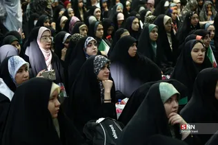 دبب