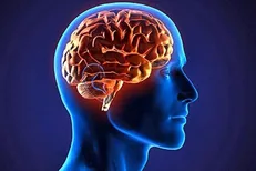محققان موفق به جوانسازی و شادابی مغز شدند