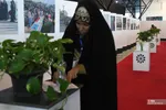 راویان