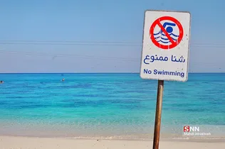 صثفصل