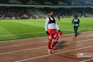 دبب