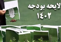احتمال ارائه لایحه بودجه سه دوازدهم برای سال ۱۴۰۲