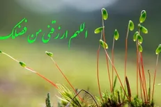 ویژگی‌های تجارت سالم از منظر قرآن