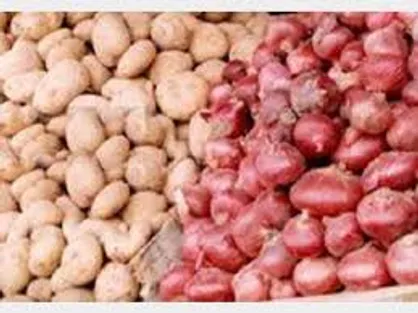 افزایش قیمت پیاز، سیب&zwnj;زمینی و گوجه در یک سال گذشته / قیمت برخی کالا&zwnj;های اساسی و مهم