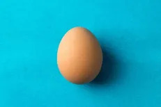 نقش تخم‌مرغ در سلامت مغز