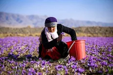 دستور رئیس جمهور برای حمایت از کشاورزان صادر شد