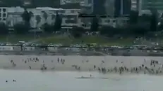 ۱۰ کشته و ۱۲ زخمی در جشن خونین حنوکای یهودی در استرالیا