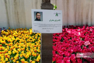 فصل بهار و میهمانی لاله ها
