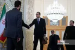 «کورنل فروتا» مدیرکل موقت آژانس بین‌المللی انرژی اتمی 