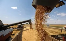دستور رئیسی برای بررسی اصلاح قیمت خرید تضمینی گندم