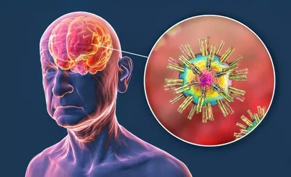 ضربه به سر، ویروس&zwnj;های خفته مغز را بیدار می&zwnj;کند