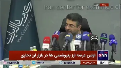 دبیرکل انجمن کارفرمایی صنایع پتروشیمی ایران: در یک روز ۱۰ میلیون دلار ارز در بازار ارز تجاری فروختیم
