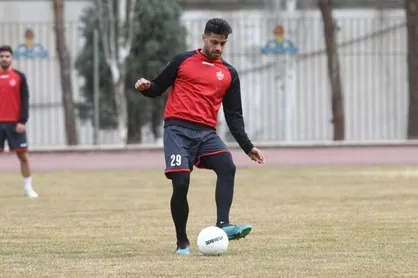توافق اولیه مدافع تیم ملی با پرسپولیس/ فقط یک شرط باقی ماند!