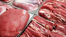 ثبات قیمت‌ محصولات پروتئنی در سایه جنگ / گوشت و مرغ به وفور وجود دارد