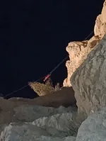 کوهنورد
