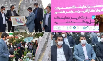 حوزه مشاغل خانگی برای اشتغال بانوان ظرفیت های زیادی دارد