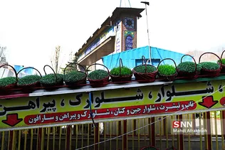ماهی قرمز و سبزه شب عید