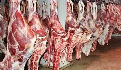 مصوبات مهم کارگروه تنظیم بازار و کالاهای کشاورزی/ توزیع گوشت کیلویی حدود 100 هزار تومان آغاز شد
