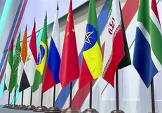 پیشنهاد استفاده از ارز‌های ملی در مبادلات بورس غلات بریکس