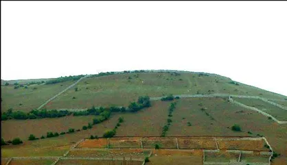 کشف زمین&zwnj;خواری 11 میلیاردی و دستگیری 15 نفر در اصفهان