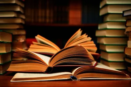 &laquo;عقیل سرخ&raquo; به زودی به بازار می&zwnj;آید