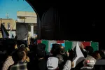 دبب