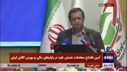 همتی: برآورد من این است که بین ۲۰ تا ۴۰ میلیارد دلار در اختیار مردم است