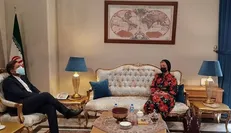 دیدار سخنگوی وزارت خارجه روسیه با خطیب‌زاده