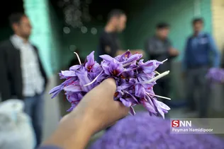 زعفران