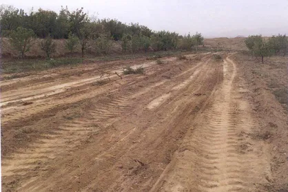 ۶۵ هکتار از اراضی ملی در کرج باز پس&zwnj;گیری شد