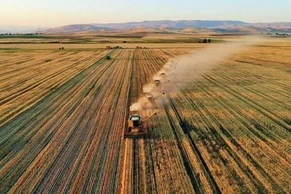سنددار کردن اراضی کشاورزی باعث خرد شدن زمین و نابودی زراعت کشور می&zwnj;شود