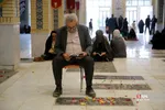 دبب