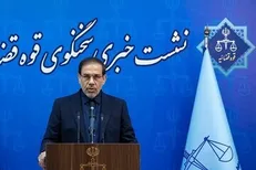 هیچ‌کدام از مسئولین افزایش دارایی از مسیر غیرحق نداشته‌اند/آخرین وضعیت پرونده چای دبش+ فیلم