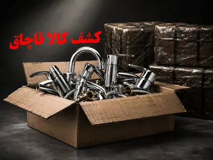 محکومیت ۳ میلیارد ریالی متهم قاچاق شیرآلات در سربیشه