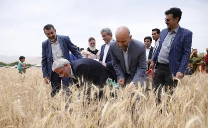 اجرای طرح جهش تولید در ۴ میلیون و ۲۰۰ هزار هکتار از اراضی دیم کشور توسط ستاد اجرایی فرمان امام (ره)