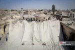 برافراشتن خیمه عزاداری محرم