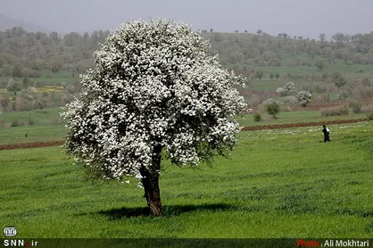 چهارمین دوره اعطای جایزه محیط زیست ویژه دانشجویان دانشگاه&zwnj;های اصفهان برگزار می&zwnj;شود