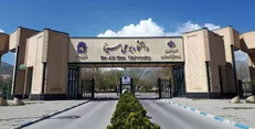 مهندسی شیمی دانشگاه بوعلی سینا در رتبه بندی شانگهای قرار گرفت