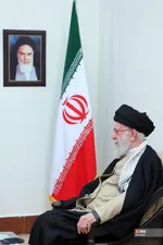 دبب