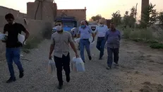 قهرمان کشتی جهان در کوره پزخانه‌های اطراف تهران