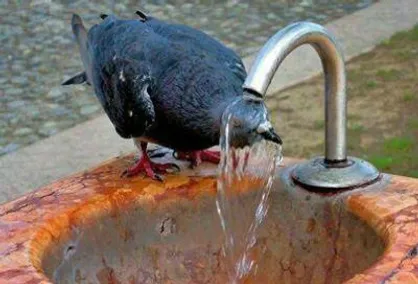 آلاینده اُزن در هوای تهران/ دمای هوا کاهش می&zwnj;یابد