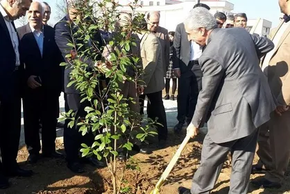 کاشت ۱۰ هزار اصله نهال در دانشگاه گیلان آغاز شد