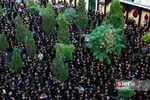 کریمی