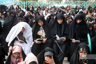 دبب