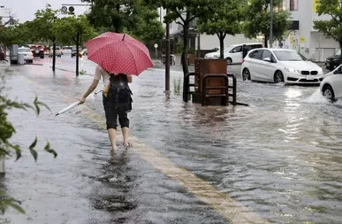 بارش‌های سیل‌آسا در ژاپن؛ بالاترین سطح هشدار در توکیو و چیبا
